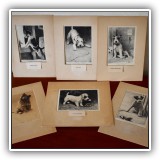 P7. Lot of 7 dog etchings by Morgan Dennis (One duplicate not shown) - $500 for the set