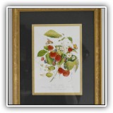 P32. Framed strawberry botanical. Frame: 12.5" x 15.5" - $34