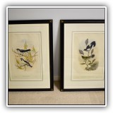 A10. Pair of bird prints. Frames: 31.5"h x 24"w - $250
