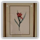 A06. Framed tulip botanical print. Frame: 21.25" x 27.5" - $95